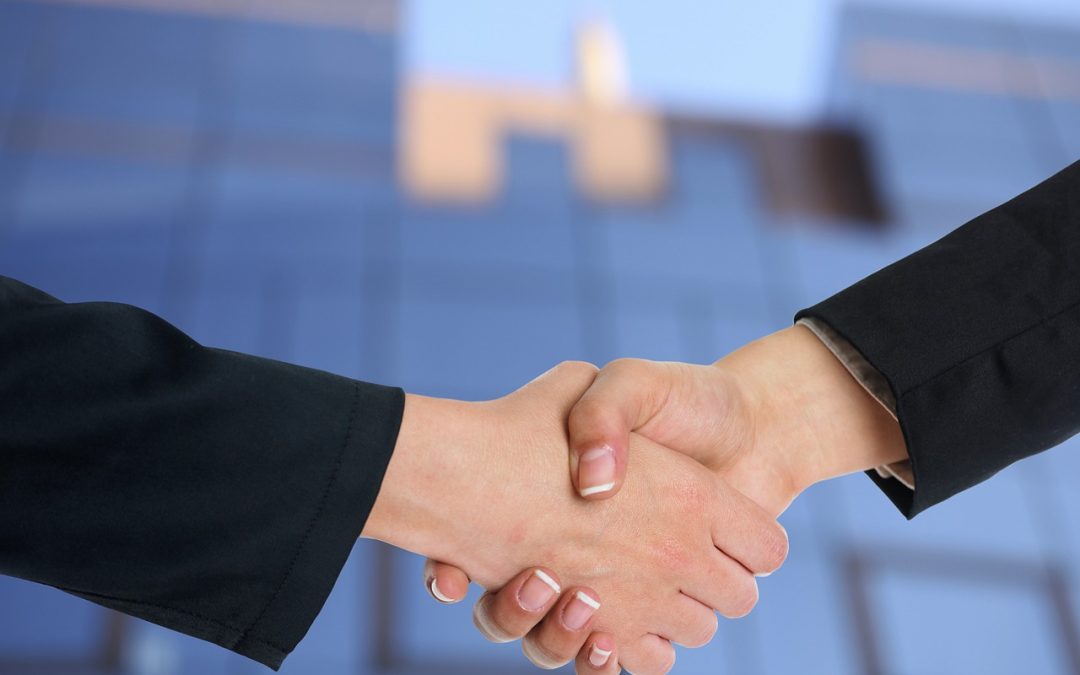 Partnerstwo publiczno-prywatne (PPP) w projektach współfinansowanych ze środków unijnych – realizacja  i rozliczanie projektów
